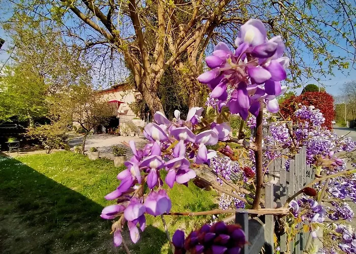 B&B La Bugia Di Villa Tanzi